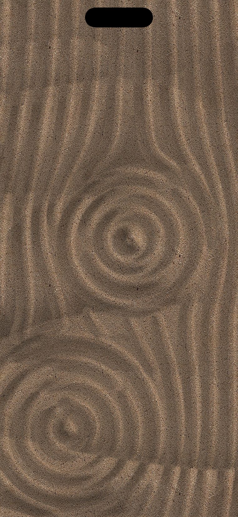 raked rings and rake lines in low sunlight